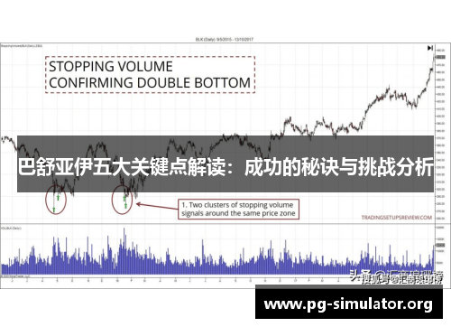 巴舒亚伊五大关键点解读：成功的秘诀与挑战分析