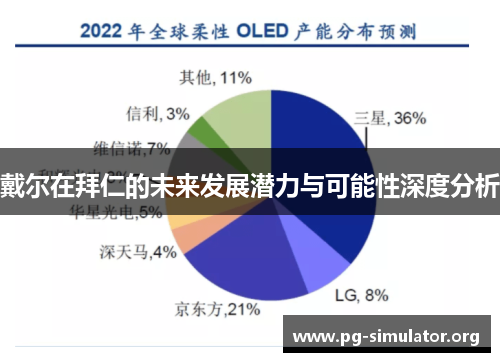 戴尔在拜仁的未来发展潜力与可能性深度分析