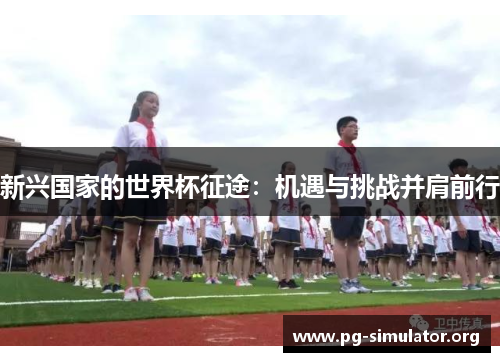 新兴国家的世界杯征途：机遇与挑战并肩前行