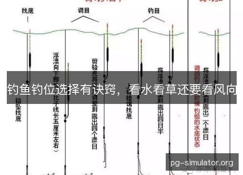 钓鱼钓位选择有诀窍，看水看草还要看风向